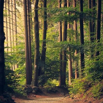 江南体育app在线下载截图